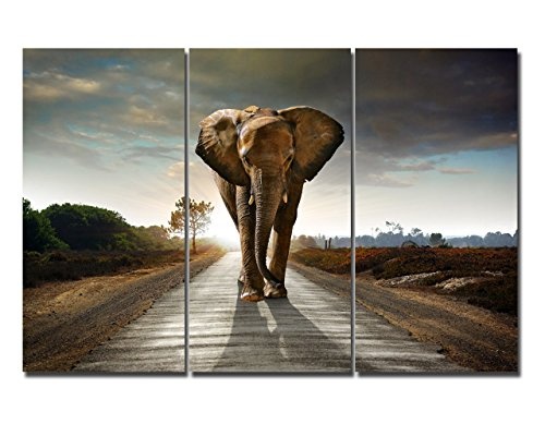 Leinwandbild Bild Big Elephant on Street Tier Wild Safari...