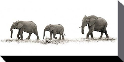 1art1 91546 Elefanten - The Elephants, Mario Moreno Poster Leinwandbild Auf Keilrahmen 100 x 50 cm