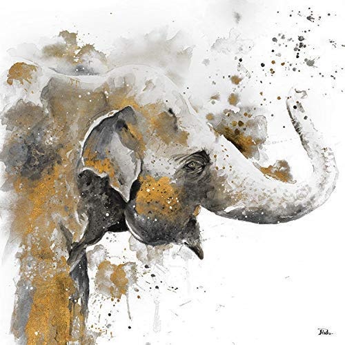 Rahmen-Kunst Keilrahmen-Bild - Patricia Pinto: Water Elephant with Gold Leinwandbild Elefant modern Aquarell