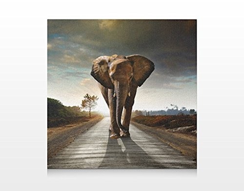 Apalis Leinwandbild No.480 Elephant is Coming 70x70cm Leinwanddruck Rahmen Design, Größe:70cm x 70cm