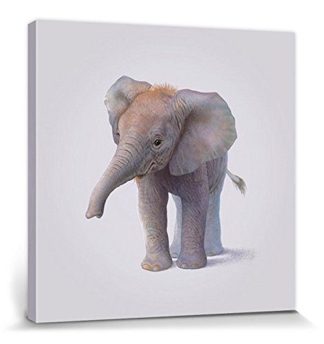1art1 76469 Elefanten - Elephant, John Butler Poster Leinwandbild Auf Keilrahmen 40 x 40 cm