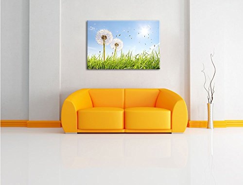 Pusteblumen auf sonniger Frühlingswiese Format: 100x70 auf Leinwand, XXL riesige Bilder fertig gerahmt mit Keilrahmen, Kunstdruck auf Wandbild mit Rahmen, günstiger als Gemälde oder Ölbild, kein Poster oder Plakat