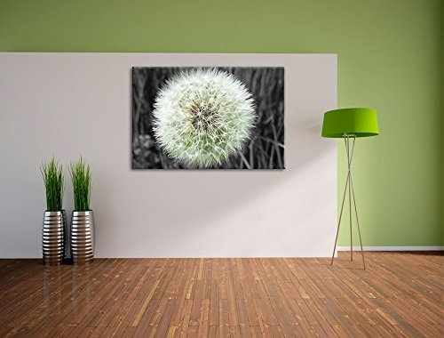 klassische zarte Pusteblume schwarz/weiß auf Leinwand, XXL riesige Bilder fertig gerahmt mit Keilrahmen, Kunstdruck auf Wandbild mit Rahmen, günstiger als Gemälde oder Ölbild, kein Poster oder Plakat