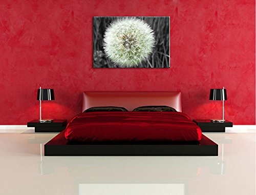 klassische zarte Pusteblume schwarz/weiß auf Leinwand, XXL riesige Bilder fertig gerahmt mit Keilrahmen, Kunstdruck auf Wandbild mit Rahmen, günstiger als Gemälde oder Ölbild, kein Poster oder Plakat