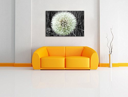 klassische zarte Pusteblume schwarz/weiß auf Leinwand, XXL riesige Bilder fertig gerahmt mit Keilrahmen, Kunstdruck auf Wandbild mit Rahmen, günstiger als Gemälde oder Ölbild, kein Poster oder Plakat