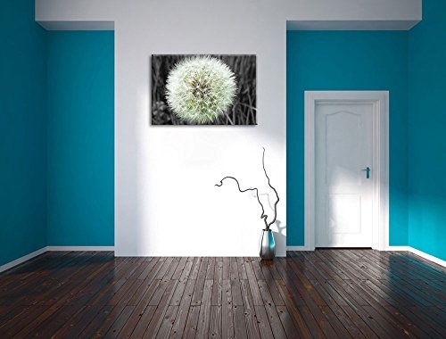 klassische zarte Pusteblume schwarz/weiß auf Leinwand, XXL riesige Bilder fertig gerahmt mit Keilrahmen, Kunstdruck auf Wandbild mit Rahmen, günstiger als Gemälde oder Ölbild, kein Poster oder Plakat