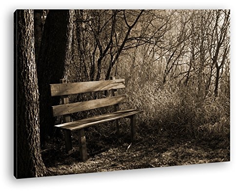 deyoli einsame Bank im Wald Format: 120x80 Effekt: Sepia als Leinwandbild, Motiv fertig gerahmt auf Echtholzrahmen, Hochwertiger Digitaldruck mit Rahmen, Kein Poster oder Plakat