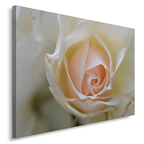 Feeby. Wandbild - 1 Teilig - 80x120 cm, Leinwand Bild Leinwandbilder Bilder Wandbilder Kunstdruck, ROSE, NATUR, GELB