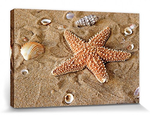 1art1 110295 Seesterne - Seestern Und Muscheln Im Sand Poster Leinwandbild Auf Keilrahmen 30 x 20 cm