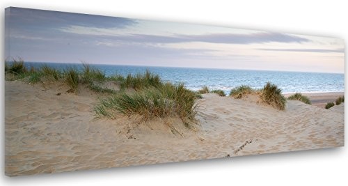 Feeby Frames, Leinwandbild, Bilder, Wand Bild, Wandbilder, Kunstdruck 40x120cm, MEER, STRAND, WASSER, SAND, GRAS, GRÜN, BRAUN