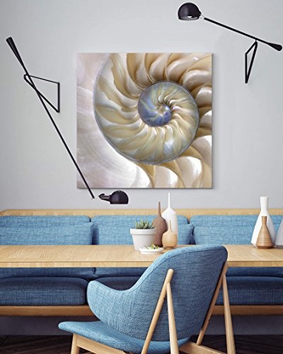 Paul Sinus Art Leinwandbilder | Bilder Leinwand 60x60cm wunderschöne Nautilus-Muschel - Nahaufnahme