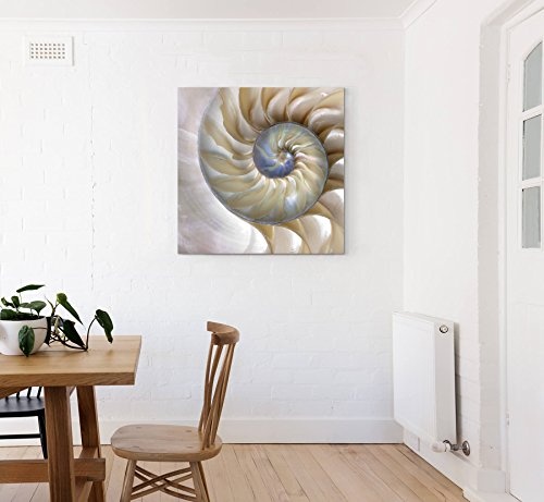 Paul Sinus Art Leinwandbilder | Bilder Leinwand 60x60cm wunderschöne Nautilus-Muschel - Nahaufnahme