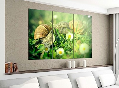 Leinwandbild 3tlg 120cmx100cm Schnecke Schnecken Blume Gras Tier Bilder Druck auf Leinwand Bild Kunstdruck mehrteilig Holz 9YA3314, 3 Tlg 120x100cm:3 Tlg 120x100cm