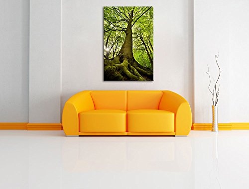 Riesiger Baum im Dschungel Format: 120x80 auf Leinwand, XXL riesige Bilder fertig gerahmt mit Keilrahmen, Kunstdruck auf Wandbild mit Rahmen, günstiger als Gemälde oder Ölbild, kein Poster oder Plakat