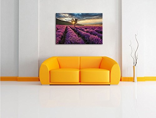 Traumhafte Lavendel Provence mit einsamen Baum Format: 80x60 auf Leinwand, XXL riesige Bilder fertig gerahmt mit Keilrahmen, Kunstdruck auf Wandbild mit Rahmen, günstiger als Gemälde oder Ölbild, kein Poster oder Plakat