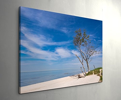 Paul Sinus Art Leinwandbilder | Bilder Leinwand 120x80cm Baum am Strand - Ostsee