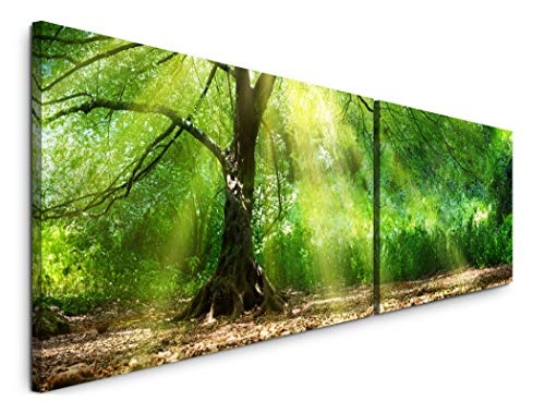 Paul Sinus Art Baum mit Sonnenstrahlen im Winter 180x50cm - 2 Wandbilder je 50x90cm - Kunstdrucke - Wandbild - Leinwandbilder fertig auf Rahmen