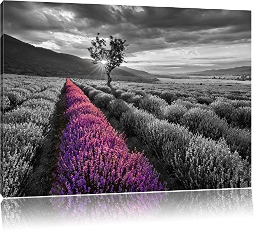 Lavendelfeld mit einsamen Baum schwarz/weiß Format: 120x80 auf Leinwand, XXL riesige Bilder fertig gerahmt mit Keilrahmen, Kunstdruck auf Wandbild mit Rahmen, günstiger als Gemälde oder Ölbild, kein Poster oder Plakat