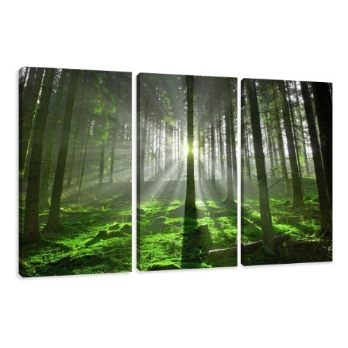 Visario Leinwandbilder 1130 Bild auf Leinwand Bäume, 160 x 90 cm, 3 Teile