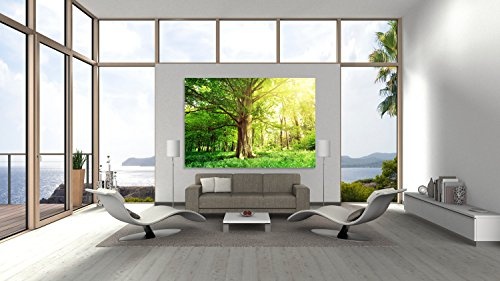 PMP-4life Baum-Poster | 140x100cm | hochauflösendes XXL Wand-Bild Baum, Natur Poster extra groß, XL Fotoposter | Wand-deko Bild Landschaft Bäume Blumen Wald