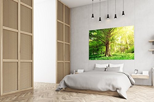 PMP-4life Baum-Poster | 140x100cm | hochauflösendes XXL Wand-Bild Baum, Natur Poster extra groß, XL Fotoposter | Wand-deko Bild Landschaft Bäume Blumen Wald