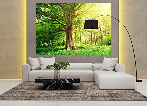 PMP-4life Baum-Poster | 140x100cm | hochauflösendes XXL Wand-Bild Baum, Natur Poster extra groß, XL Fotoposter | Wand-deko Bild Landschaft Bäume Blumen Wald