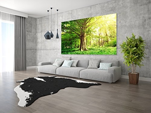 PMP-4life Baum-Poster | 140x100cm | hochauflösendes XXL Wand-Bild Baum, Natur Poster extra groß, XL Fotoposter | Wand-deko Bild Landschaft Bäume Blumen Wald