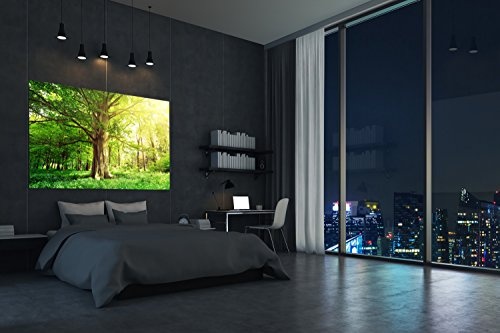 PMP-4life Baum-Poster | 140x100cm | hochauflösendes XXL Wand-Bild Baum, Natur Poster extra groß, XL Fotoposter | Wand-deko Bild Landschaft Bäume Blumen Wald