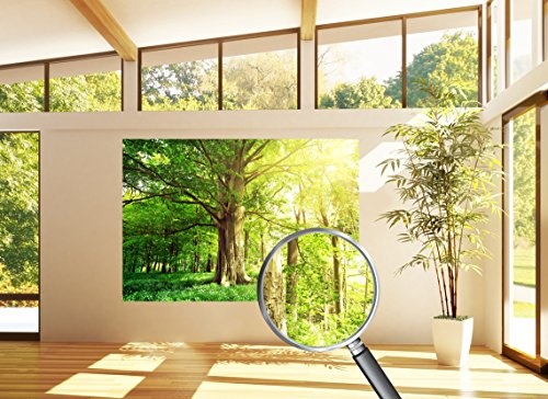 PMP-4life Baum-Poster | 140x100cm | hochauflösendes XXL Wand-Bild Baum, Natur Poster extra groß, XL Fotoposter | Wand-deko Bild Landschaft Bäume Blumen Wald