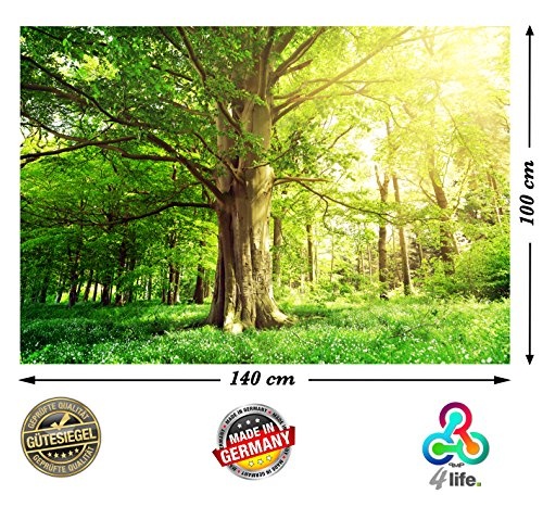 PMP-4life Baum-Poster | 140x100cm | hochauflösendes XXL Wand-Bild Baum, Natur Poster extra groß, XL Fotoposter | Wand-deko Bild Landschaft Bäume Blumen Wald