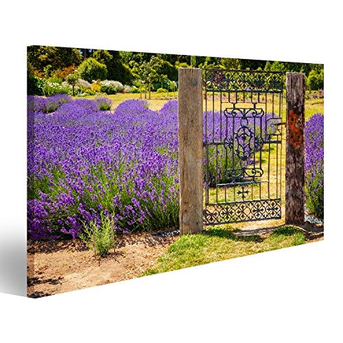 Bild Bilder auf Leinwand Garten mit Buntem Lavendelfeld und rustikalem Weinlesetor, N Wandbild, Poster, Leinwandbild LZL