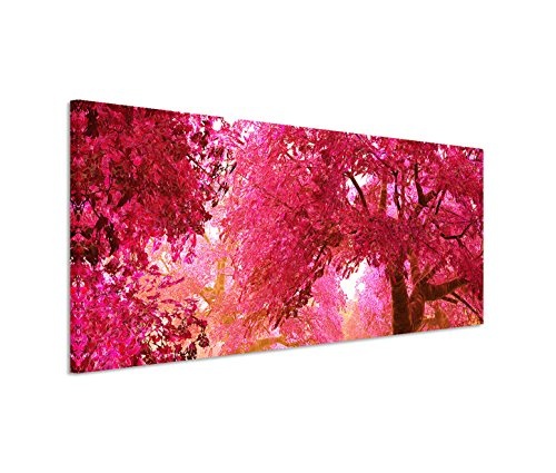 150x50cm Leinwandbild auf Keilrahmen Kirschbäume Blüten Garten Japan Wandbild auf Leinwand als Panorama