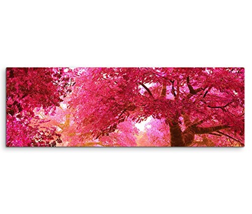 150x50cm Leinwandbild auf Keilrahmen Kirschbäume Blüten Garten Japan Wandbild auf Leinwand als Panorama