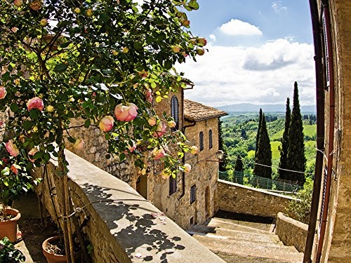 Artland Qualitätsbilder I Bild auf Leinwand Leinwandbilder Wandbilder 60 x 45 cm Landschaften Garten Foto Grün B6UY Rosen Balkon San Gimignano Toskana