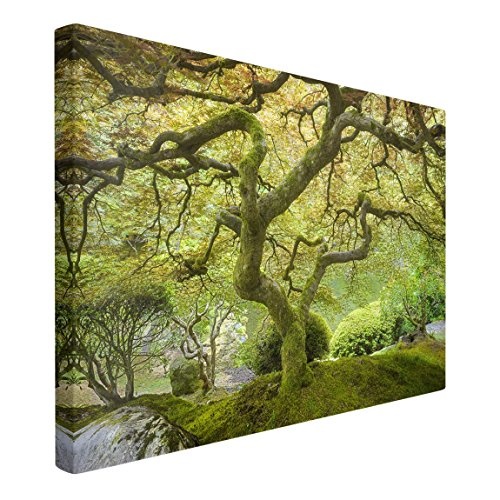 Bilderwelten Leinwandbild - Grüner Japanischer Garten - Quer 2:3, 60cm x 90cm