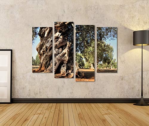 Bild Bilder auf Leinwand Alter Olivenbaum im Garten Wandbild, Poster, Leinwandbild PGS-4erP-DE