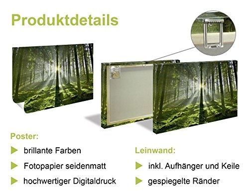 Artland Leinwandbild Ostsee - Wandbild mit Strandmotiv: Meer, Möwen & Wellen - Kunstdruck 80x60cm