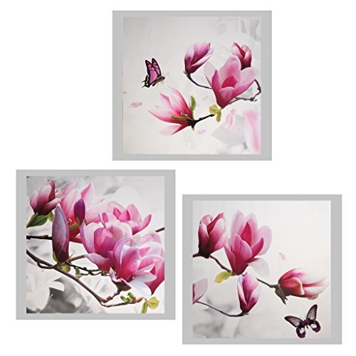 Baoblaze 3er-Set Wandbilder Kunstdruck Leinwand Bilder Set für Wohnzimmer Schlafzimmer Dekor-Blumen Schmetterling