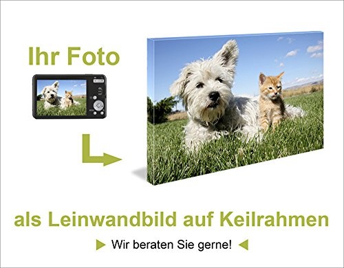 Artland Qualitätsbilder I Bild auf Leinwand Leinwandbilder Wandbilder 80 x 60 cm Film TV Film Foto Schwarz Weiß C4SA Die Kleinen Strolche 1935er