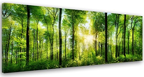 Feeby Frames, Leinwandbild, Bilder, Wand Bild, Wandbilder, Kunstdruck 50x150cm, Wald, BÄUME, Sonne, Natur, GRÜN