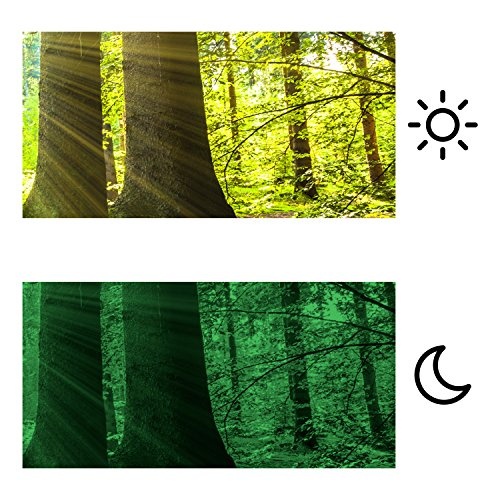 murando Bilder nachtleuchtend 135x45 cm Tag & Nacht Wandbilder 3D nachtleuchtende Farben Kunstdruck Vlies Leinwand XXL Fertig Aufgespannt Wald c-B-0077-ag-a