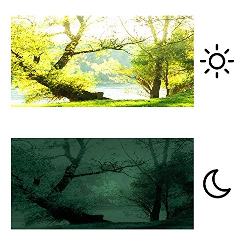 murando Bilder nachtleuchtend 135x45 cm Tag & Nacht Wandbilder 3D nachtleuchtende Farben Kunstdruck Vlies Leinwand XXL Fertig Aufgespannt Wald c-B-0053-ag-a