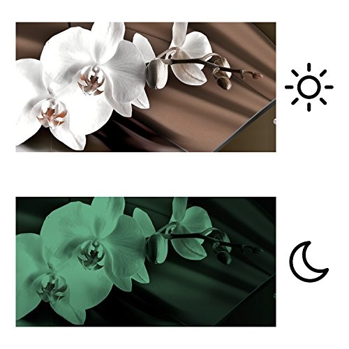 murando Bilder nachtleuchtend 135x45 cm Tag & Nacht Wandbilder 3D nachtleuchtende Farben Kunstdruck Vlies Leinwand XXL Fertig Aufgespannt Orchidee Blumen b-A-0072-ag-b
