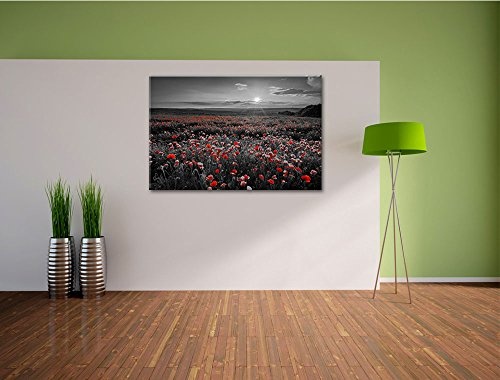 tolles Mohnblütenfeld schwarz/weiß Format: 60x40 auf Leinwand, XXL riesige Bilder fertig gerahmt mit Keilrahmen, Kunstdruck auf Wandbild mit Rahmen, günstiger als Gemälde oder Ölbild, kein Poster oder Plakat