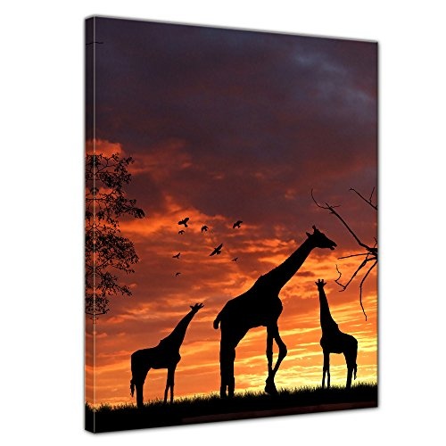 Wandbild - Giraffen im Sonnenuntergang - Bild auf Leinwand - 40x50 cm einteilig - Leinwandbilder - Tierwelten - Afrika - Silhouetten von Giraffen in der Steppe