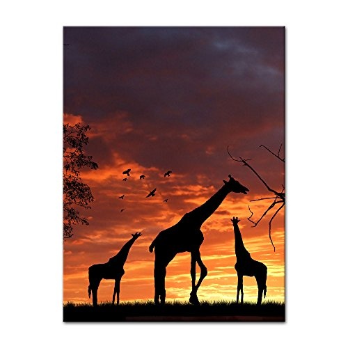 Wandbild - Giraffen im Sonnenuntergang - Bild auf...