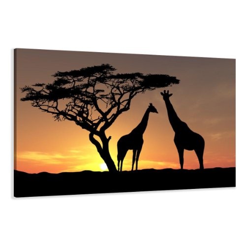 bestpricepictures 120 x 80 cm Bild auf Leinwand Afrika...