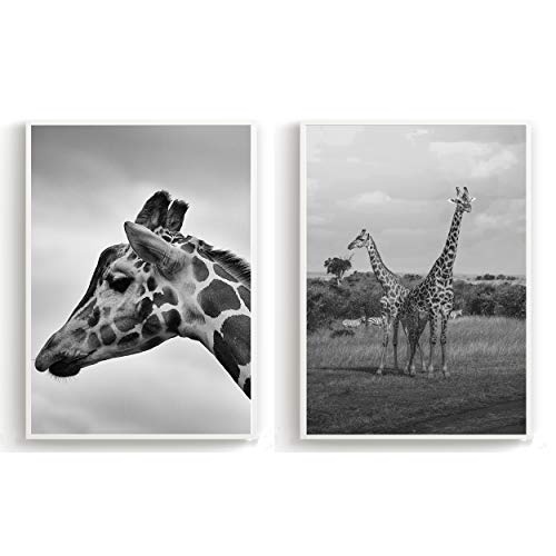 Flanacom 2er Set Design Poster Schwarz Weiß Deko Kunstdruck auf Premiumpapier - Motiv Giraffe (ohne Rahmen)