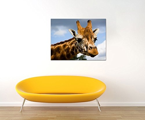 Keilrahmenbild - Giraffe - Bild auf Leinwand - 120 x 90 cm - Leinwandbilder - Bilder als Leinwanddruck - Tierwelten - Wildtiere - afrikanische Giraffe