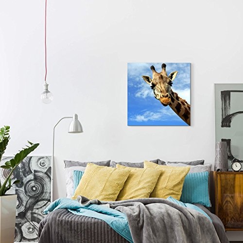Paul Sinus Art Leinwandbilder | Bilder Leinwand 90x90cm neugierige Giraffe - Nahaufnahme